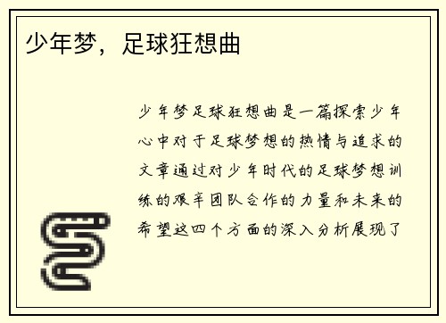 少年梦，足球狂想曲
