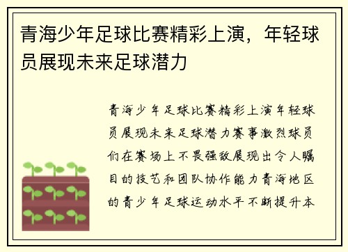 青海少年足球比赛精彩上演，年轻球员展现未来足球潜力