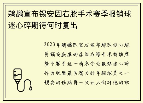 鹈鹕宣布锡安因右膝手术赛季报销球迷心碎期待何时复出