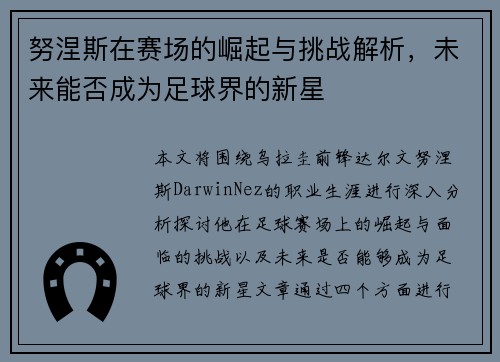 努涅斯在赛场的崛起与挑战解析，未来能否成为足球界的新星