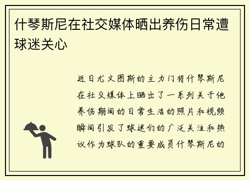 什琴斯尼在社交媒体晒出养伤日常遭球迷关心