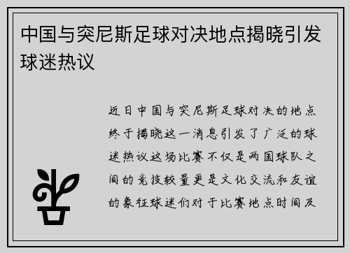 中国与突尼斯足球对决地点揭晓引发球迷热议