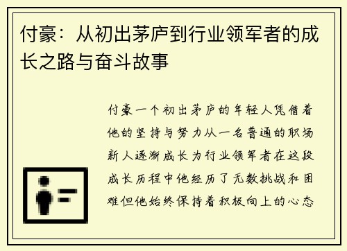 付豪：从初出茅庐到行业领军者的成长之路与奋斗故事