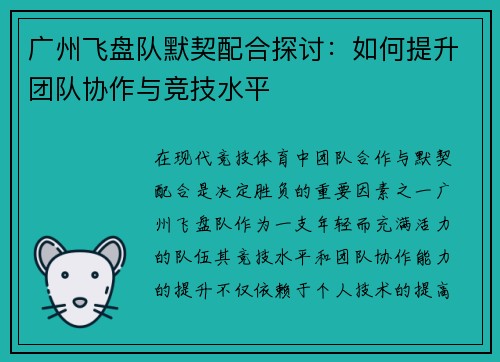 广州飞盘队默契配合探讨：如何提升团队协作与竞技水平