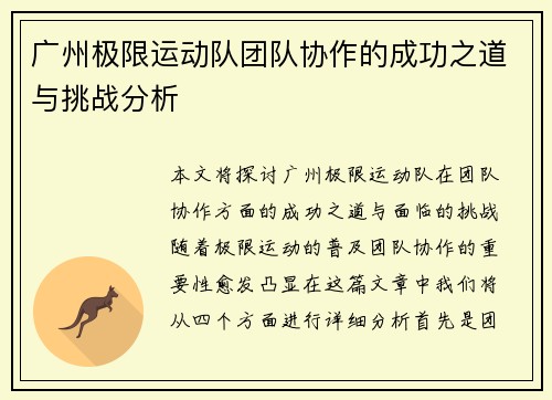 广州极限运动队团队协作的成功之道与挑战分析