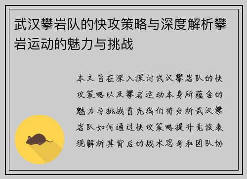 武汉攀岩队的快攻策略与深度解析攀岩运动的魅力与挑战